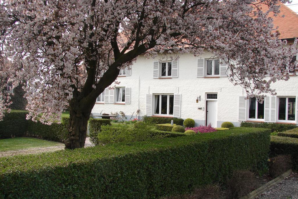 Holiday Home De Colve Bruges Extérieur photo